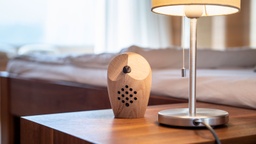 [19972..] Waldklang Huuri